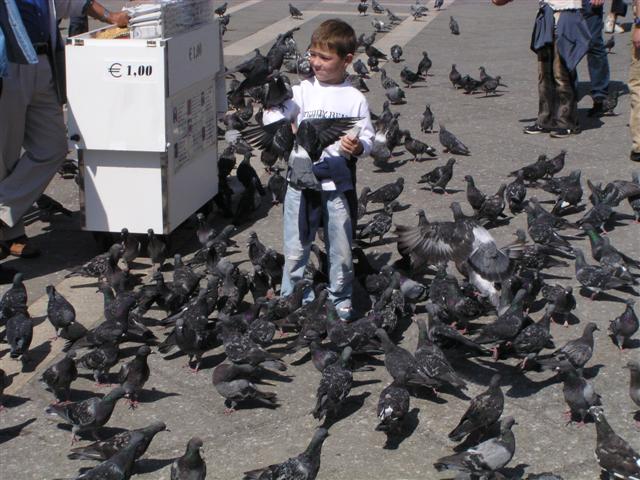 Der Markusplatz in Venedig